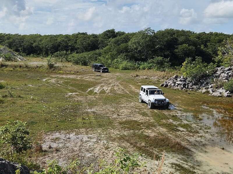 Cozumel: 5-Hour Private Caves and Ruins Tour with Lunch - Buenavista Ranch and the Mayan caves
