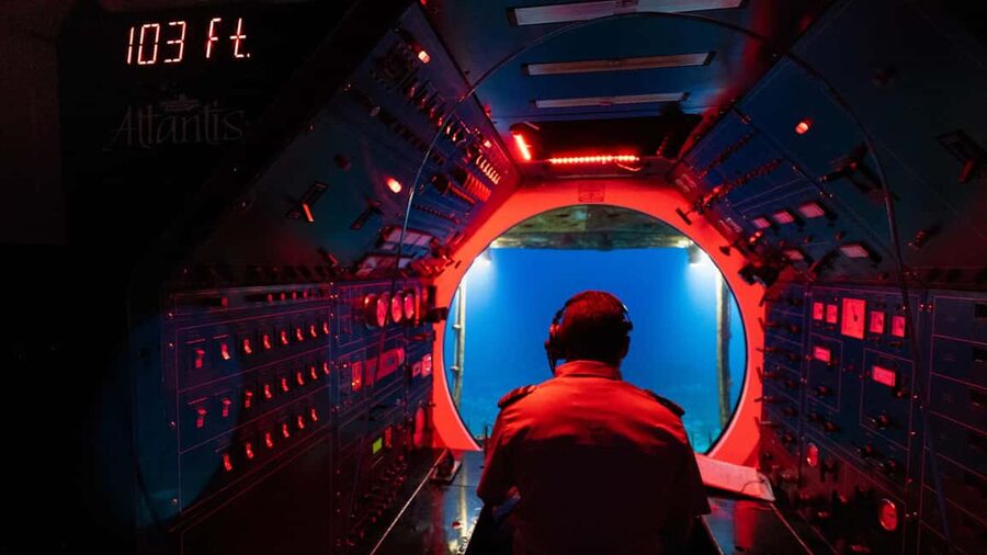 Cozumel: Atlantis Submarine Adventure - Who will enjoy this most