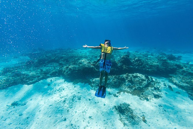 Cozumel Catamaran Snorkeling Tour & lunch - El Cielo Bay and the starfish stop