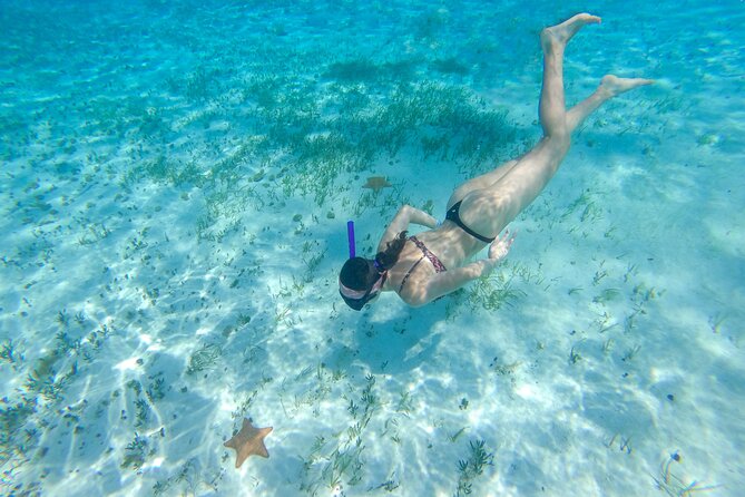 Cozumel Catamaran Snorkeling Tour & lunch - FAQ