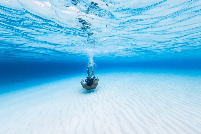 Cozumel Catamaran Snorkeling Tour & lunch - What Palancar Reef adds to the day