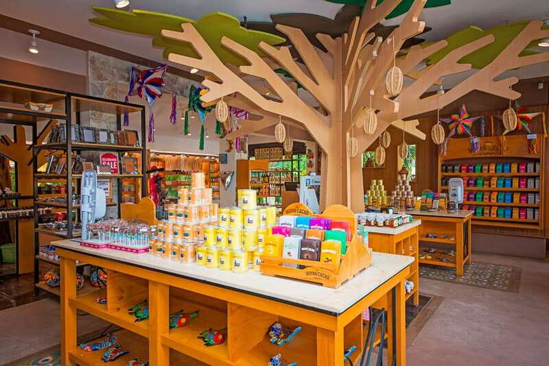 Cozumel: Chocolate Workshop at The Mayan Cacao Company - Booking flexibility and practical limits