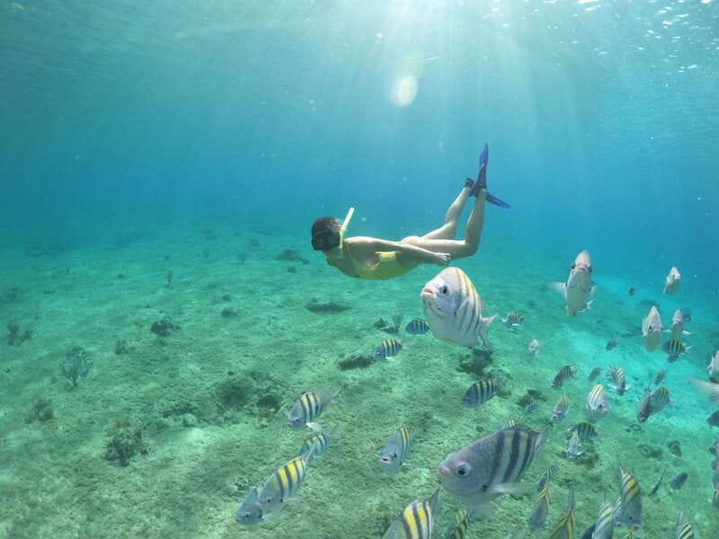 Cozumel: Clear Boat Ride and Snorkeling Trip - A clear view of Cozumel from Av. Rafael E. Melgar