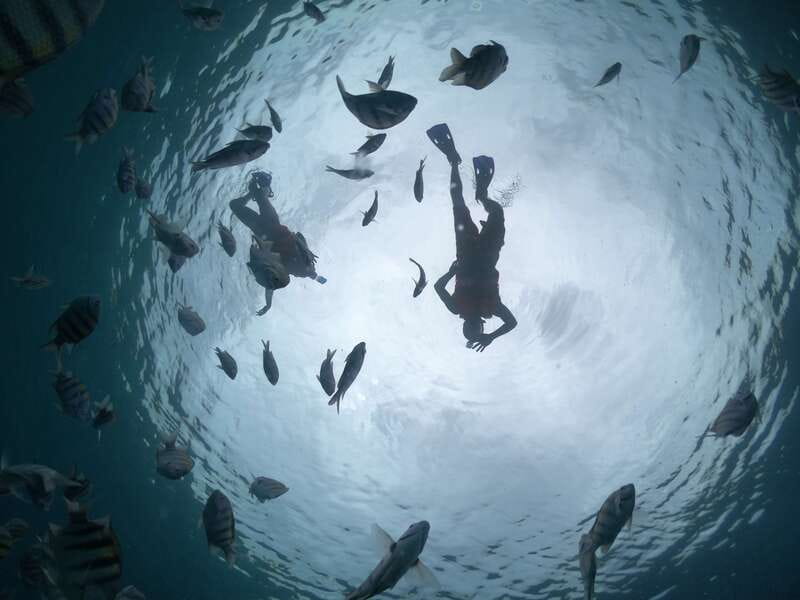 Cozumel: Clear Boat Ride and Snorkeling Trip - Who will enjoy this trip most