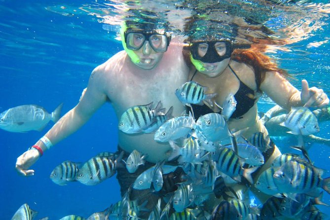 Cozumel Coral Reef Snorkeling by Glass Bottom Boat with Guide - What The Glass-Bottom Boat Adds