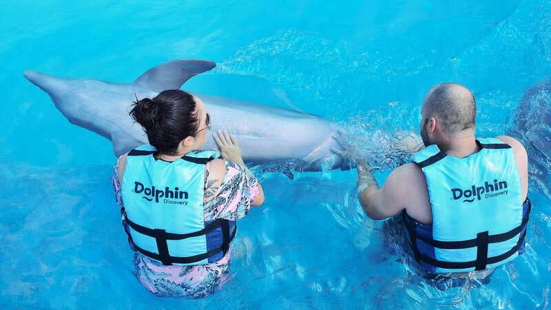 Cozumel: Dolphin Royal Connection and Manatee Interaction - What the 50-minute animal program actually includes