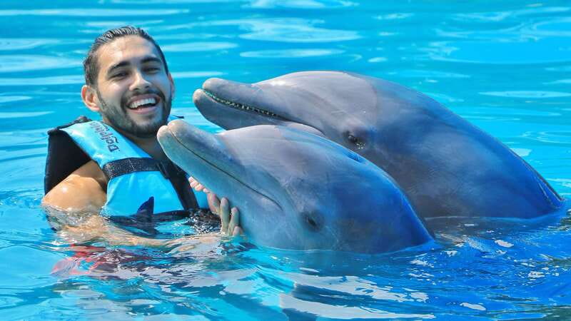 Cozumel: Dolphin Royal Connection and Manatee Interaction - Lunch, VIP access, and the open bar