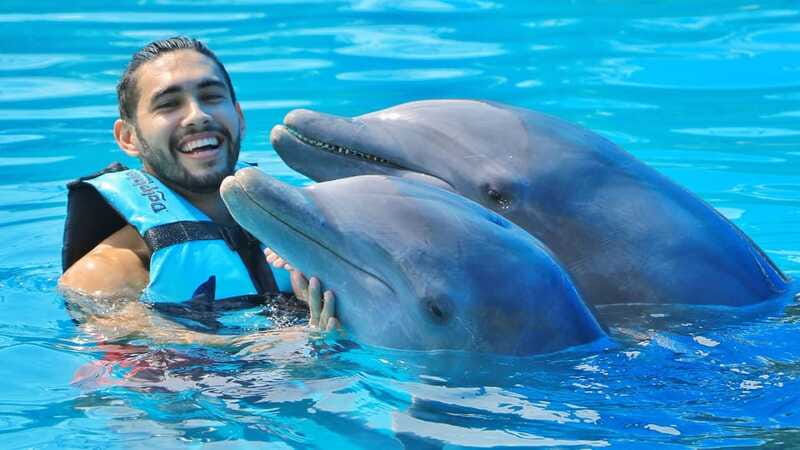 Cozumel: Dolphin Royal Connection and Manatee Interaction - The real cost is higher than $135