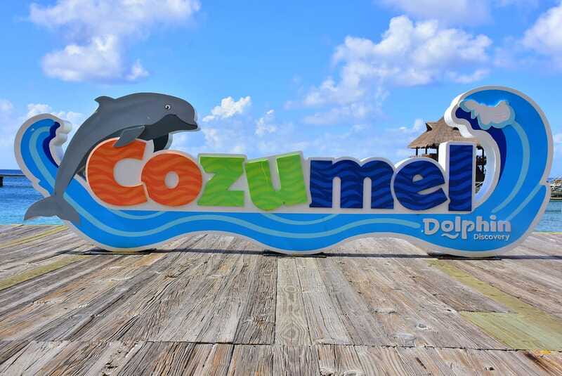 Cozumel: Dolphin Royal Connection and Manatee Interaction - Timing, organization, and the late-start risk