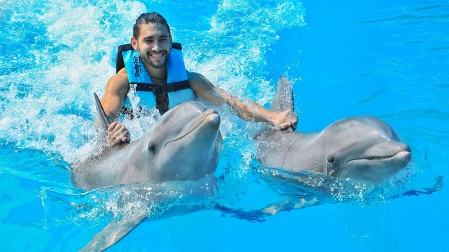 Cozumel: Dolphin Royal Connection and Manatee Interaction - What to bring, and what to leave behind