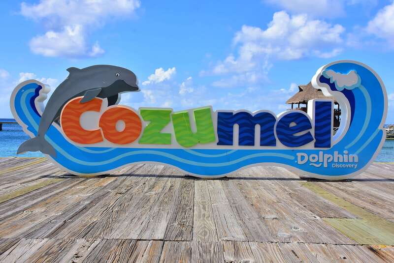Cozumel: Dolphin Royal Connection and Manatee Interaction - The short manatee encounter at Chankanaab Park