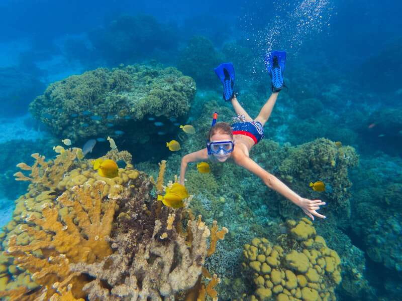 Cozumel: El Cielo, Palancar Reef, and Beach Party with Food - Key points to know before booking