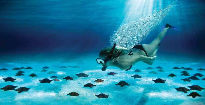 Cozumel: El Cielo & Palancar Snorkel with Open Bar & Ceviche - Why this Cozumel snorkeling trip works