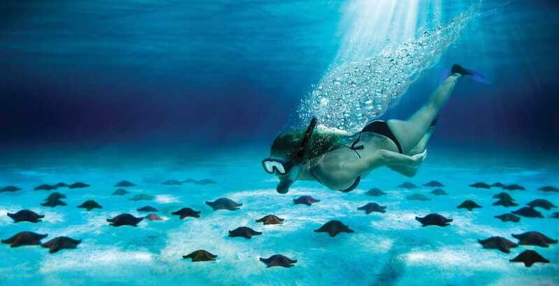 Cozumel: El Cielo & Palancar Snorkel with Open Bar & Ceviche - The guides and the feel of the group