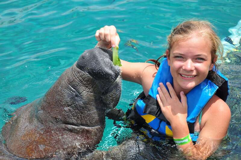 Cozumel: Manatee Encounter, Chankanaab Admission and Buffet - The guide makes a real difference