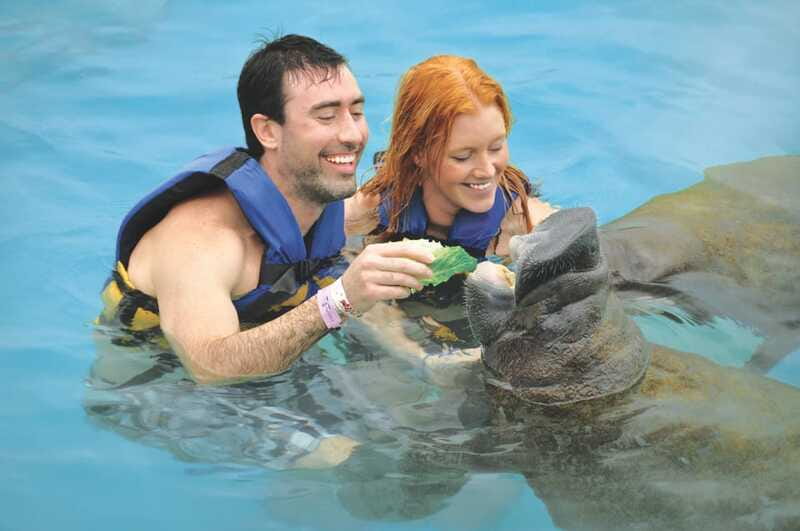 Cozumel: Manatee Encounter, Chankanaab Admission and Buffet - Photos, lockers, and the extra costs