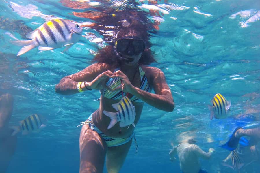 Cozumel: Mayan Ruins Guided Tour with Snorkeling & Lunch - Pickup points are simple, but read them carefully