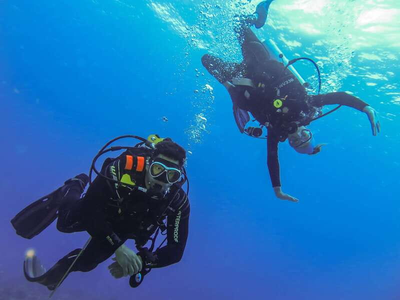 Cozumel: One Tank Scuba Dive and Full Chankanaab Park Access - Why the shallow depth helps beginners