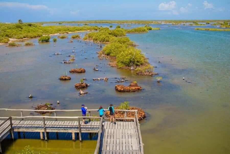 Cozumel: Private Buggy Tour to Punta Sur Park All Inclusive - Key points to know before booking