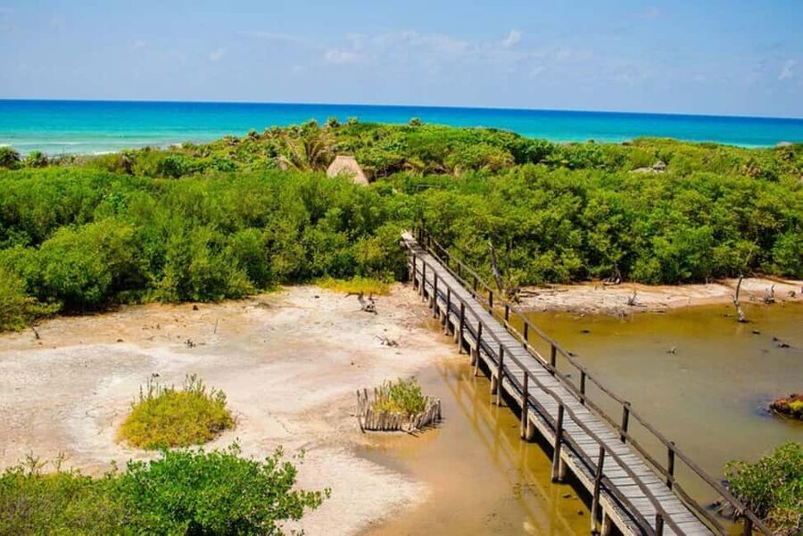 Cozumel: Private Buggy Tour to Punta Sur Park All Inclusive - Why Punta Sur works well by buggy