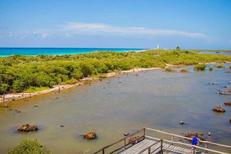 Cozumel: Private Buggy Tour to Punta Sur Park All Inclusive - Who should book this Cozumel outing?