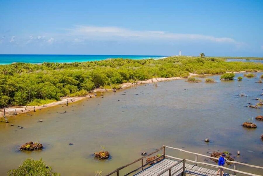Cozumel: Private Buggy Tour to Punta Sur Park All Inclusive - El Mirador and Celarain Lighthouse
