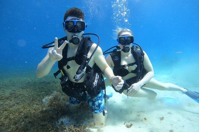 Cozumel Scuba Dive at Chankanaab - What the $85 price includes