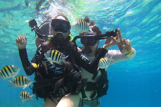 Cozumel Scuba Dive at Chankanaab - Important beach and equipment details