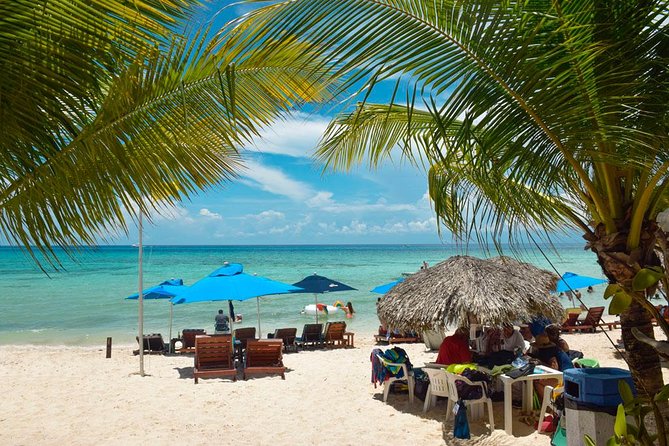 Cozumel Shore Excursion: 5-Hour Sightseeing Tour with Private Driver - Stop 3: Tequila, agave, and honey drinks