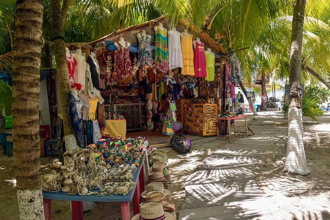 Cozumel Shore Excursion: 5-Hour Sightseeing Tour with Private Driver - Stop 6: Playa Palancar for swimming and lunch