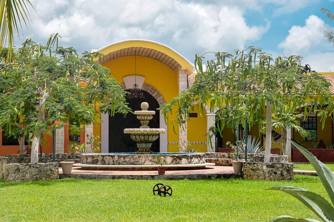 Cozumel Shore Excursion: 5-Hour Sightseeing Tour with Private Driver - How flexible is the private format?