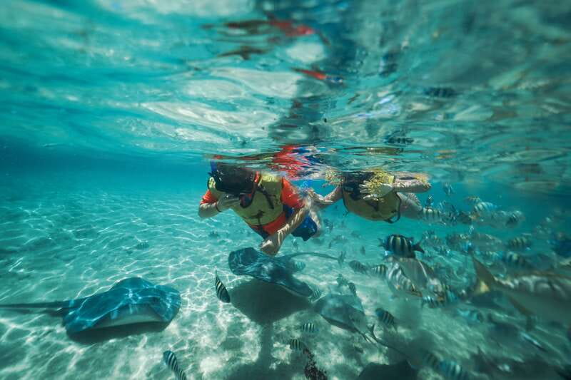 Cozumel: Snorkel and Swim with Stingrays - Meeting the Stingrays Near Cozumel’s Cruise Piers