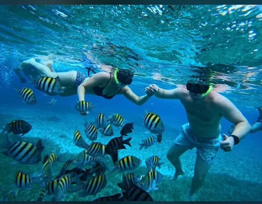 Cozumel: snorkeling on reefs + visit to "El Cielo" - Three Cozumel water stops in four hours