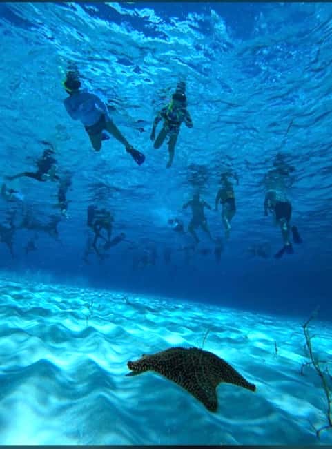 Cozumel: snorkeling on reefs + visit to "El Cielo" - Palancar Reef, coral walls and quick fish sightings
