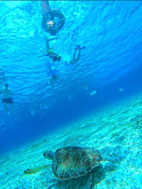 Cozumel: snorkeling on reefs + visit to "El Cielo" - El Cielo, starfish and shallow blue water
