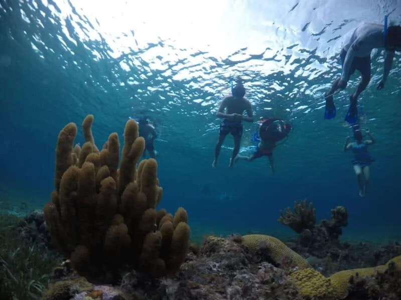 Cozumel: snorkeling on reefs + visit to "El Cielo" - Timing, group size and how the day can feel