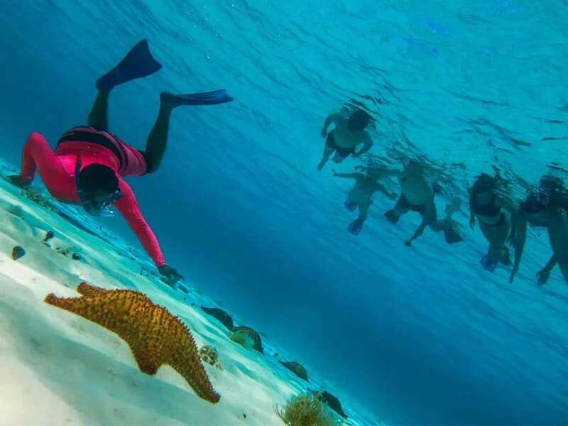 Cozumel: snorkeling on reefs + visit to "El Cielo" - Who will enjoy this trip most