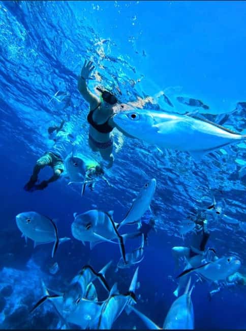 Cozumel: snorkeling on reefs + visit to "El Cielo" - Columbia Reef and the value of a guided route