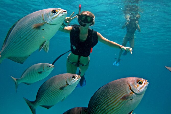 Cozumel Snorkeling Tour: Palancar, Columbia and El Cielo Reefs - Quick points before you book