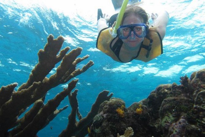 Cozumel Snorkeling Tour: Palancar, Columbia and El Cielo Reefs - Palancar and Columbia, Cozumel’s main underwater draw