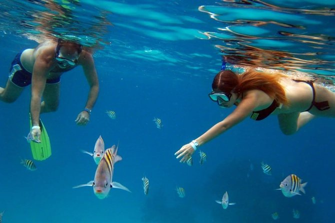 Cozumel Snorkeling Tour: Palancar, Columbia and El Cielo Reefs - The included gear makes this easy to pack for