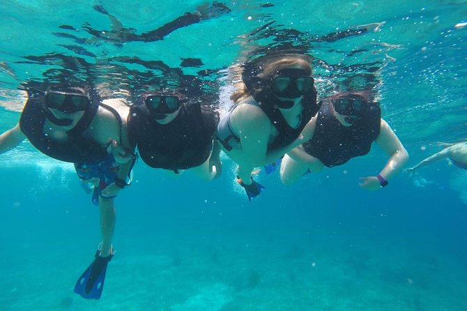 Cozumel Snorkeling Tour: Palancar, Columbia and El Cielo Reefs - What is worth the extra marine fee