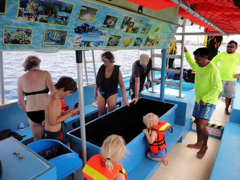 Cozumel: VIP Glass Bottom Boat & Snorkeling 3 Reefs Tour - Second Stop: Shallow Paradise Reef