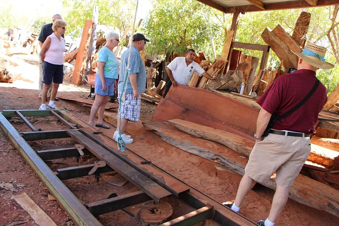 Cultural & Ecology, Nature & History of the hidden towns of Southern Baja! - Los Barriles: Lunch, Resorts, and the Day’s Biggest Limitation