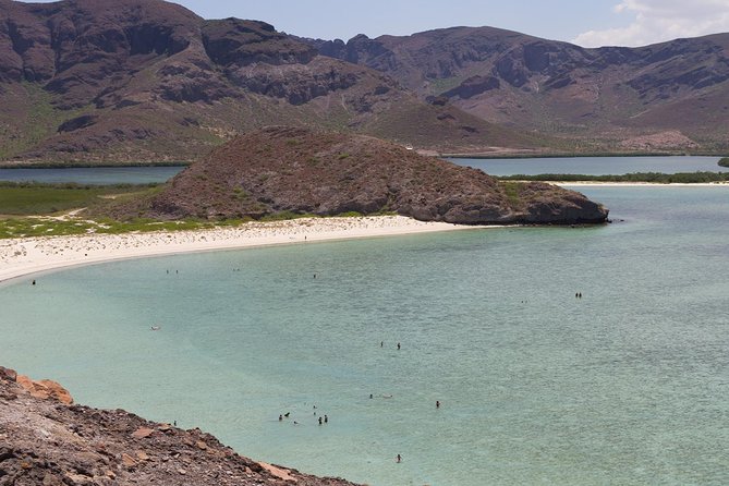 Day Trip to La Paz & Balandra Beach from Cabo San Lucas - Lunch by the sea near El Tecolote