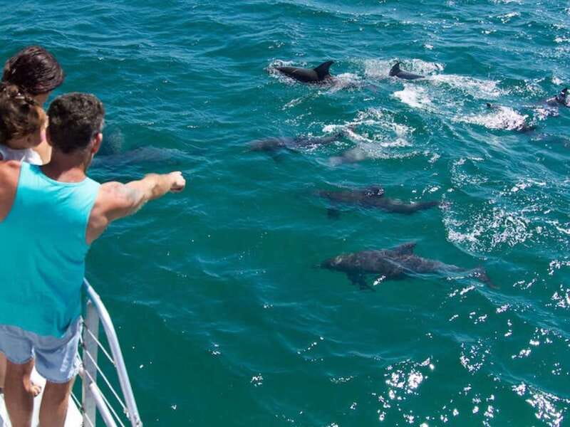 Destin: Dolphin Watching Cruise - Leaving Destin Harbor aboard a 45-foot boat
