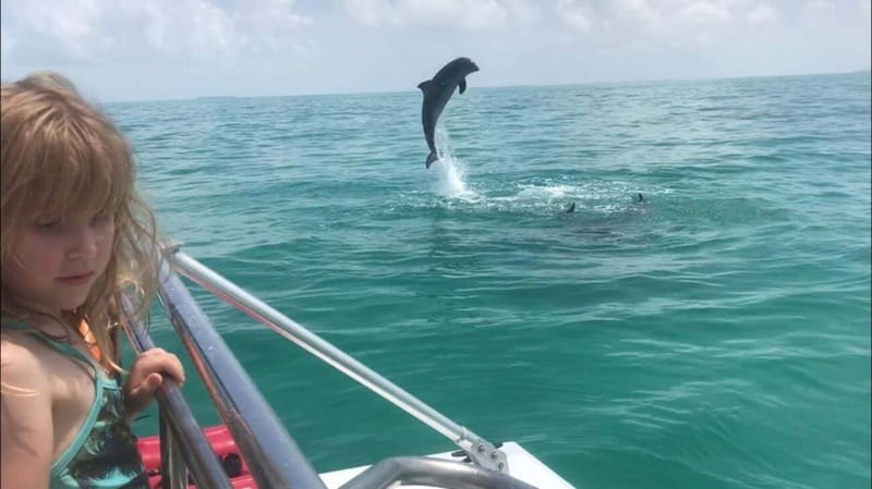 Destin: Dolphin Watching Cruise - The $30 price and what you receive