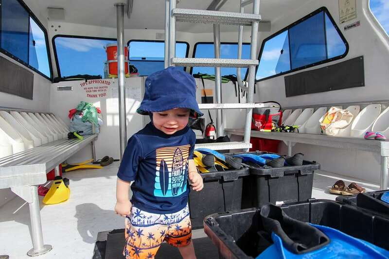 Destin: Dolphin Watching Cruise - What the crew adds to the ride