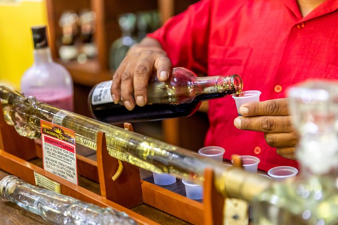 Dinner Cruise Tour in Cabo San Lucas with Tequila Tasting - Dinner, Drinks, and the Party Atmosphere