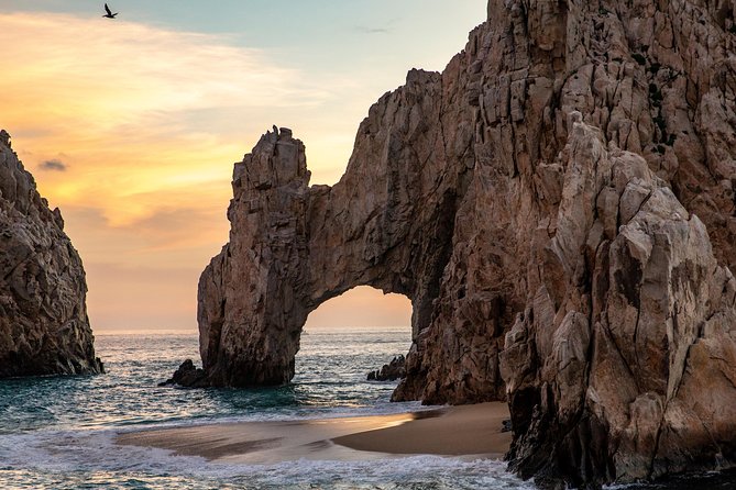 Dinner Cruise Tour in Cabo San Lucas with Tequila Tasting - Weather, Timing, and Practical Preparation